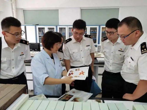 面向成年人的鑒定人培訓服務簡介